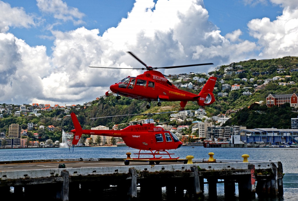 Helicopters, Wellington, New Zealand jigsaw puzzle in Aviation puzzles on TheJigsawPuzzles.com