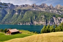 Farm in Alps