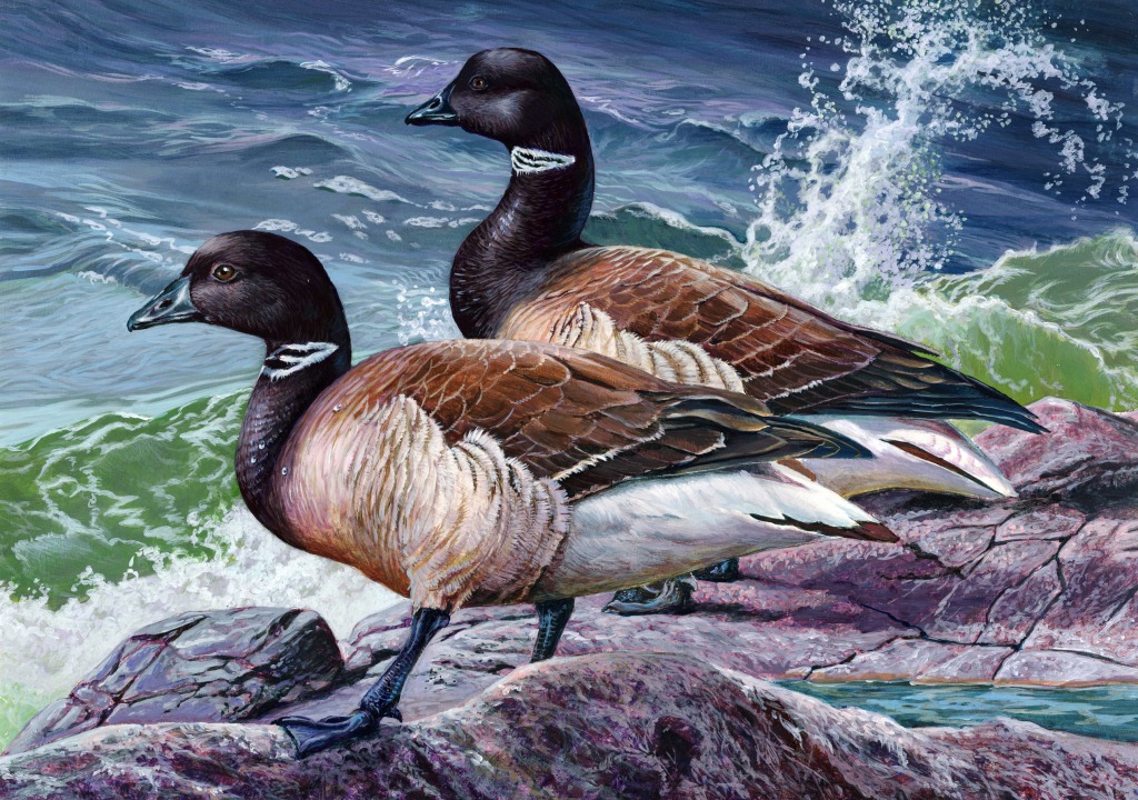 Duck Stamp Art Contest jigsaw puzzle in Puzzle of the Day puzzles on TheJigsawPuzzles.com