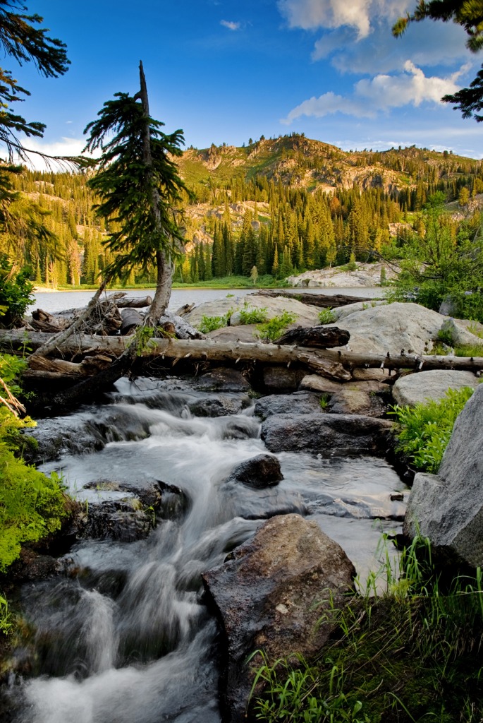 Blue Lake in Valley County Idaho jigsaw puzzle in Waterfalls puzzles on TheJigsawPuzzles.com