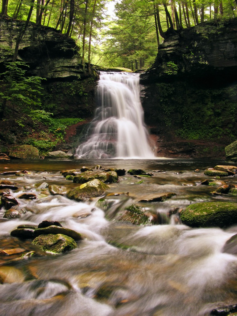 Immersed jigsaw puzzle in Waterfalls puzzles on TheJigsawPuzzles.com