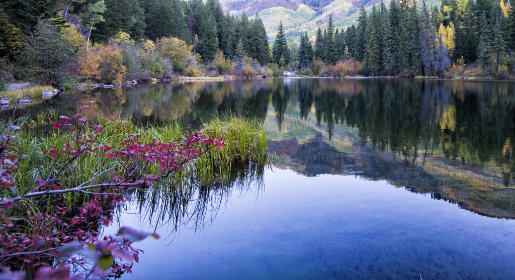 Lizard Lake, Colorado jigsaw puzzle in Great Sightings puzzles on TheJigsawPuzzles.com