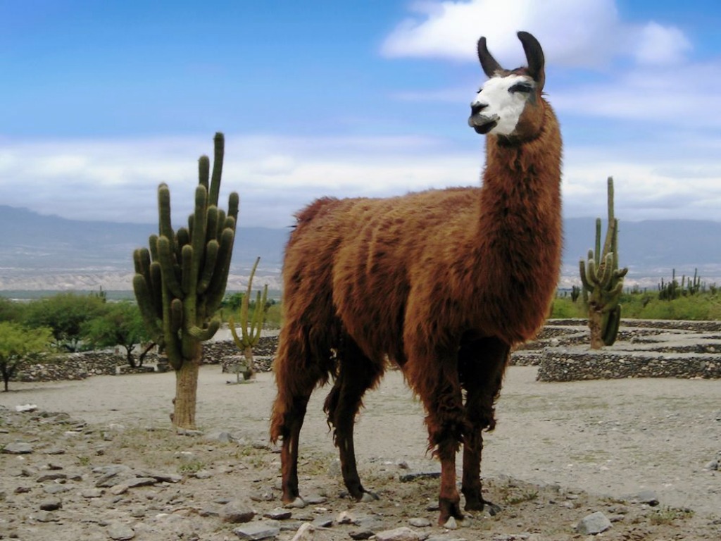 Llama jigsaw puzzle in Animals puzzles on TheJigsawPuzzles.com