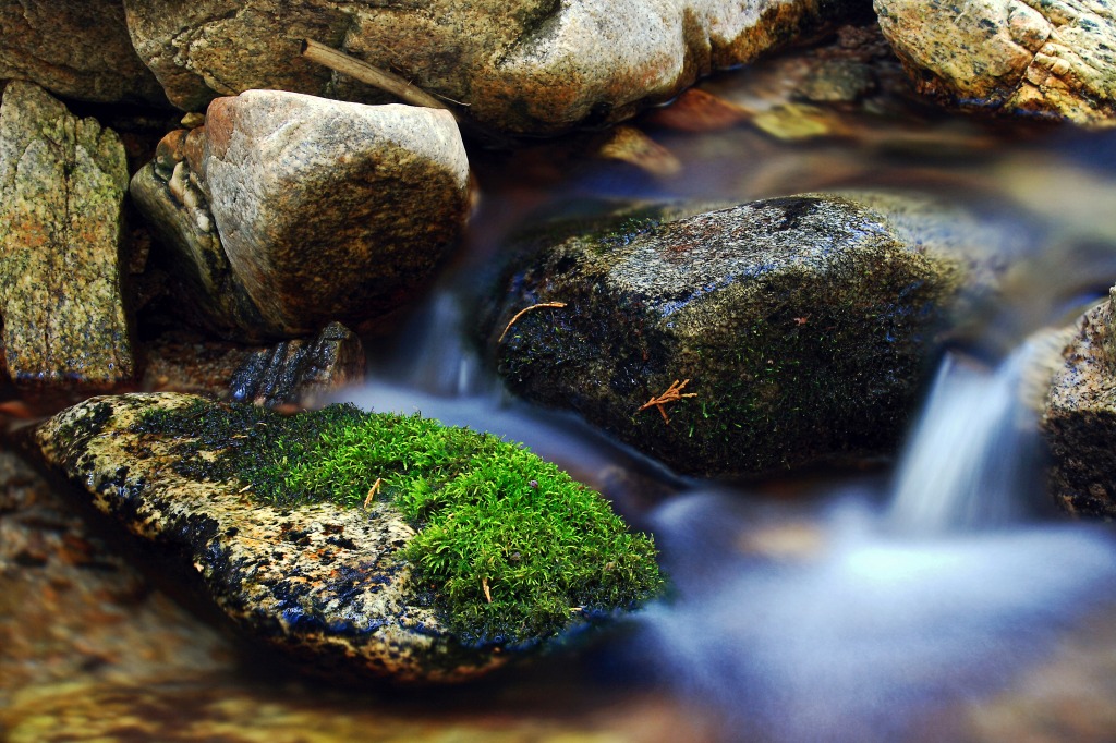 Cooper Canyon Stream jigsaw puzzle in Waterfalls puzzles on TheJigsawPuzzles.com