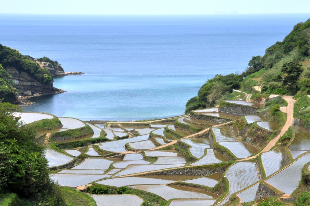 Hamanoura Shelved Rice Terraces jigsaw puzzle in Great Sightings puzzles on TheJigsawPuzzles.com