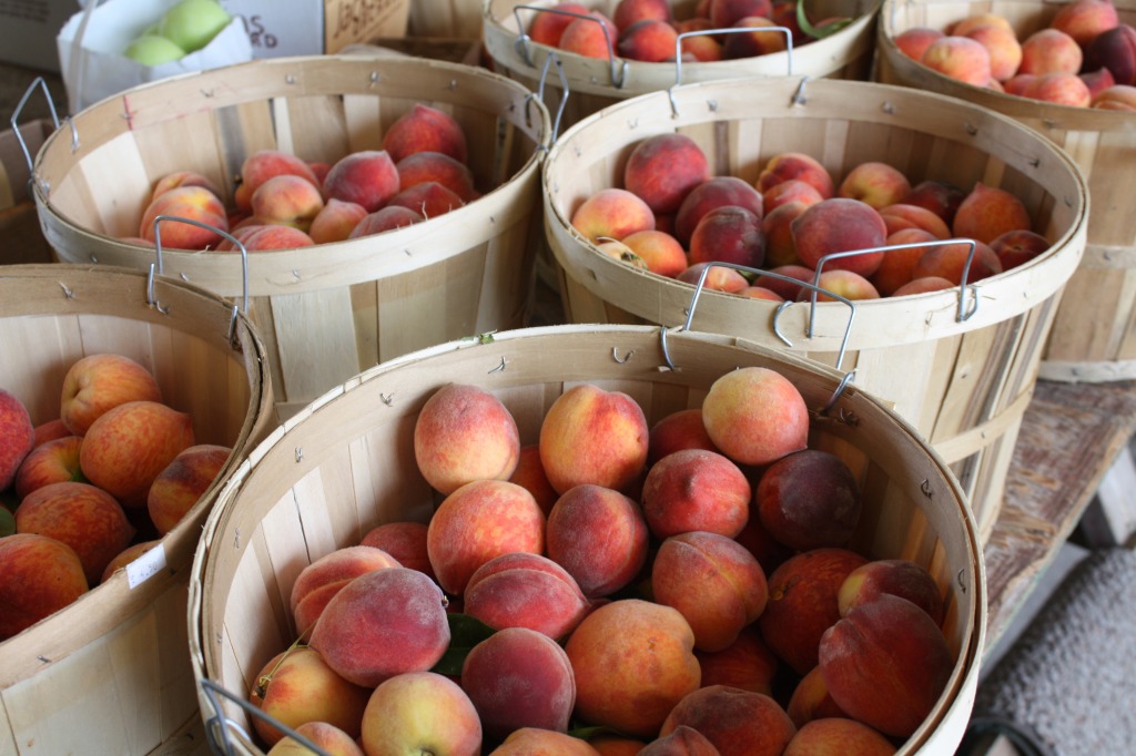 Fresh Picked Peaches jigsaw puzzle in Fruits & Veggies puzzles on TheJigsawPuzzles.com