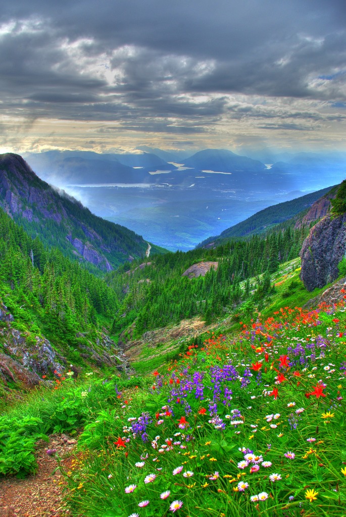 View from the Saddle jigsaw puzzle in Great Sightings puzzles on TheJigsawPuzzles.com