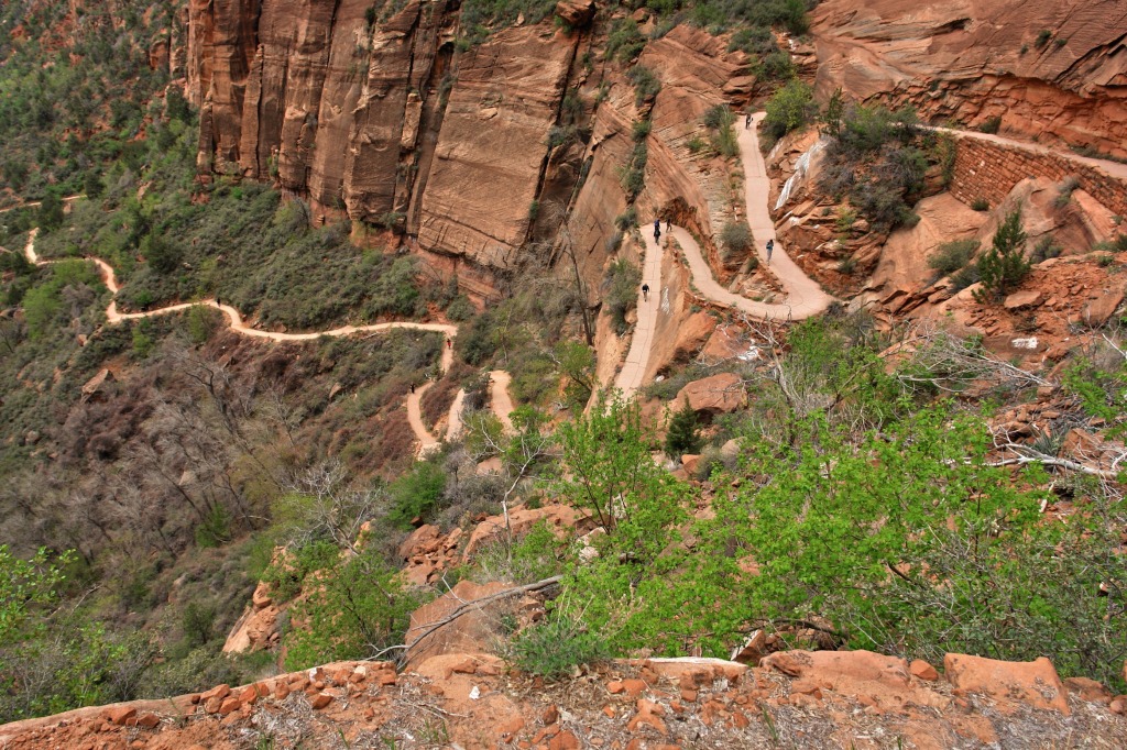 Angel's Landing, Zion NP jigsaw puzzle in Great Sightings puzzles on TheJigsawPuzzles.com