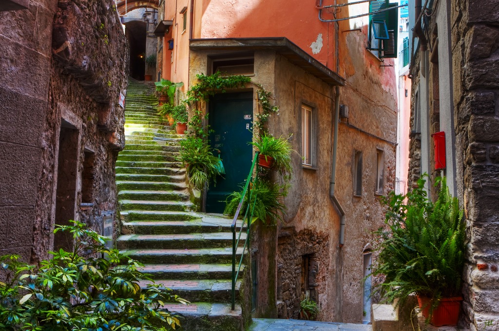 Vernazza, Cinque Terre, Italy jigsaw puzzle in Street View puzzles on TheJigsawPuzzles.com