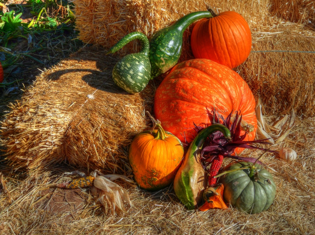 Autum Colours jigsaw puzzle in Fruits & Veggies puzzles on TheJigsawPuzzles.com