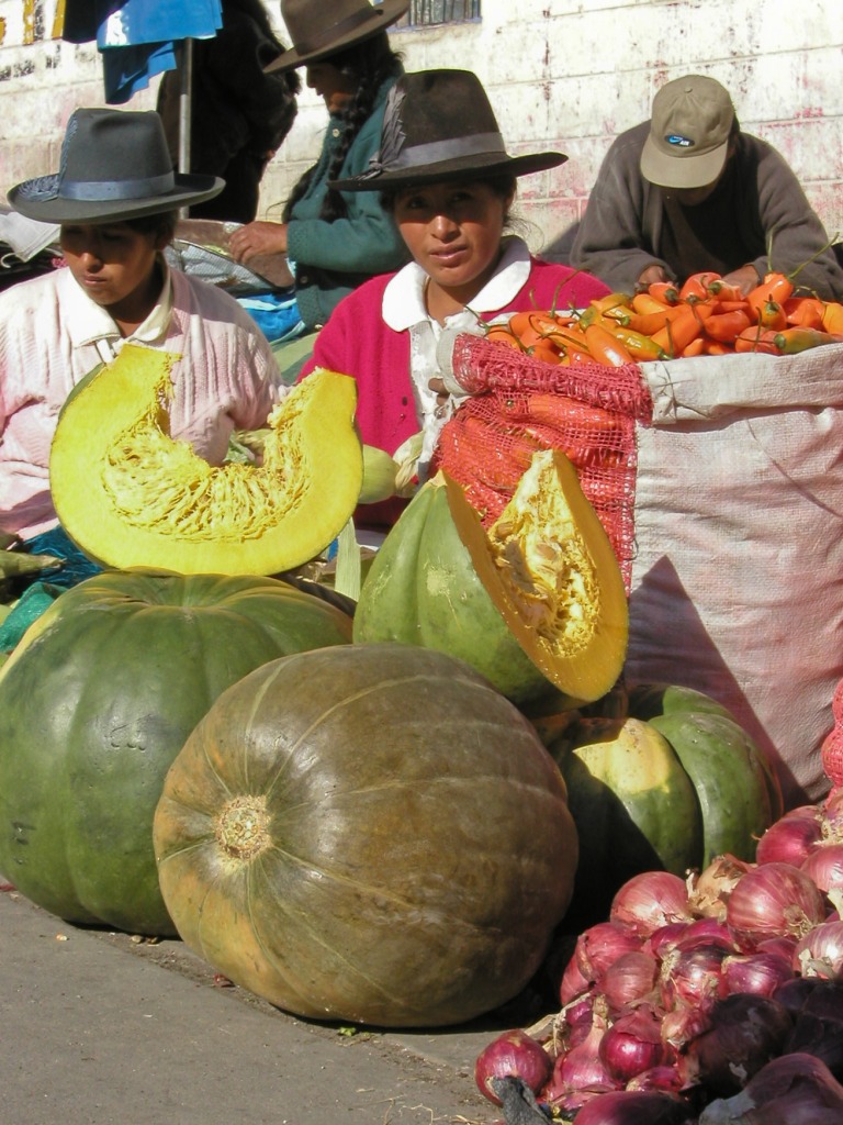 Selling Pumpkins jigsaw puzzle in Fruits & Veggies puzzles on TheJigsawPuzzles.com