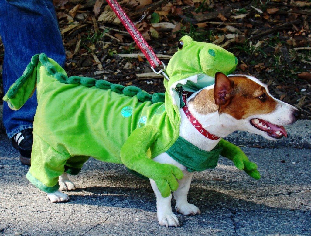 Jurassic Bark jigsaw puzzle in Halloween puzzles on TheJigsawPuzzles.com