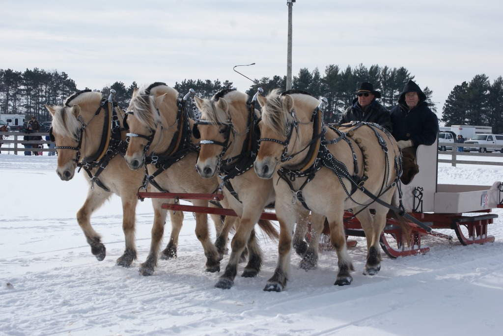 A LOT of Horse Power! jigsaw puzzle in Animals puzzles on TheJigsawPuzzles.com