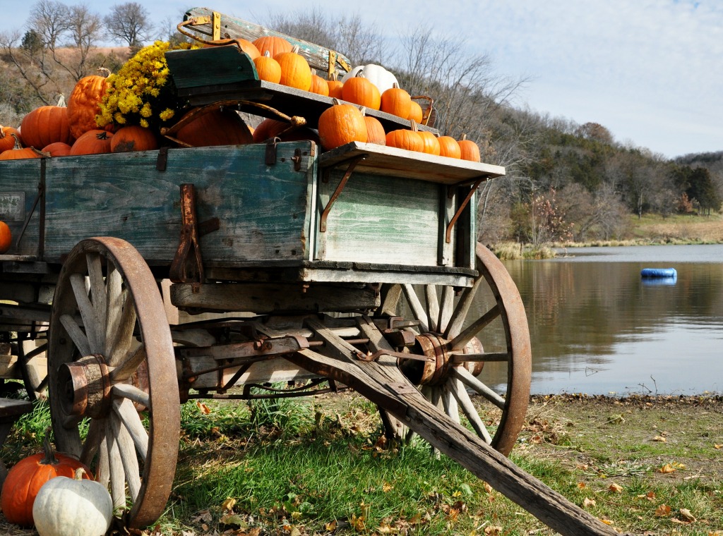 Pumpkin Cart jigsaw puzzle in Halloween puzzles on TheJigsawPuzzles.com