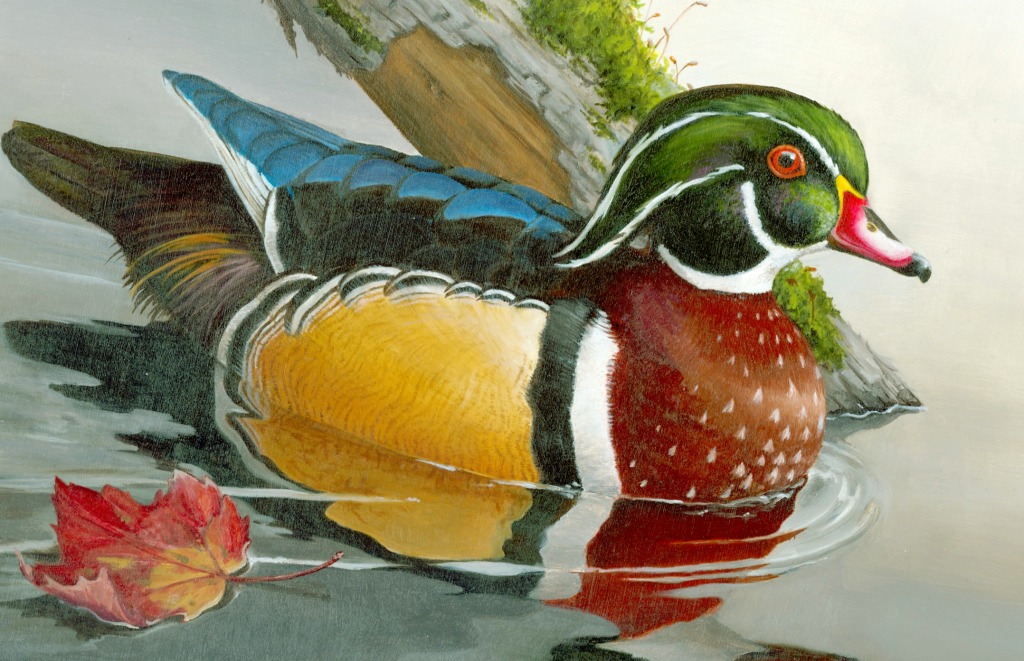 Jr Duck Stamp Art Contest jigsaw puzzle in Puzzle of the Day puzzles on TheJigsawPuzzles.com