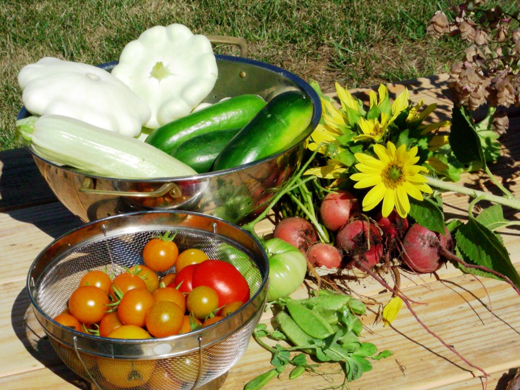 Garden Veggies and Flowers jigsaw puzzle in Fruits & Veggies puzzles on TheJigsawPuzzles.com