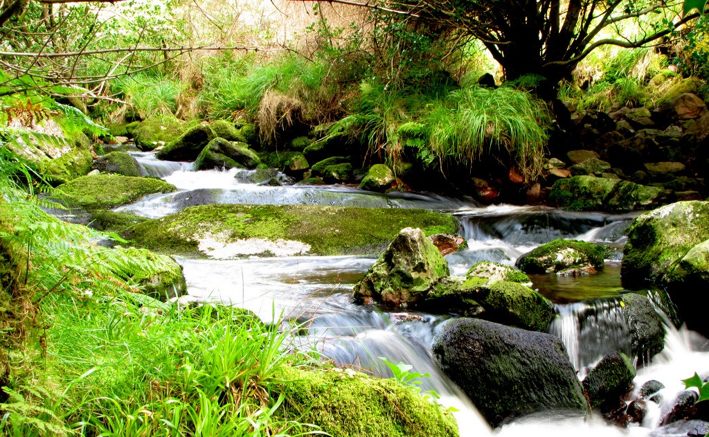 River in Glentenassig, Ireland jigsaw puzzle in Waterfalls puzzles on TheJigsawPuzzles.com