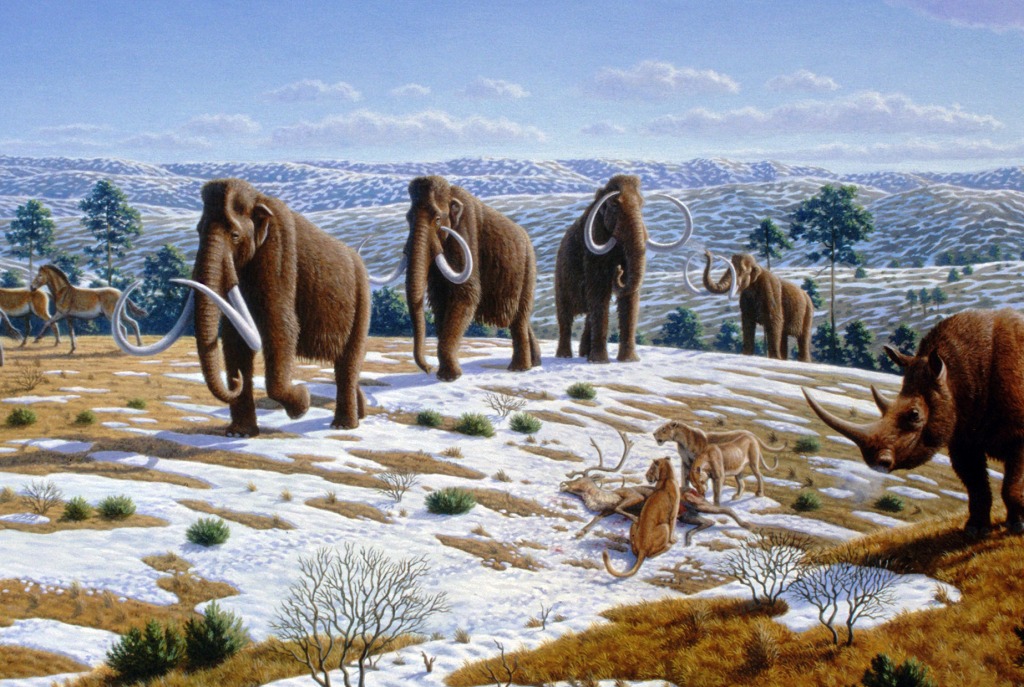 Ice Age Fauna jigsaw puzzle in Animals puzzles on TheJigsawPuzzles.com