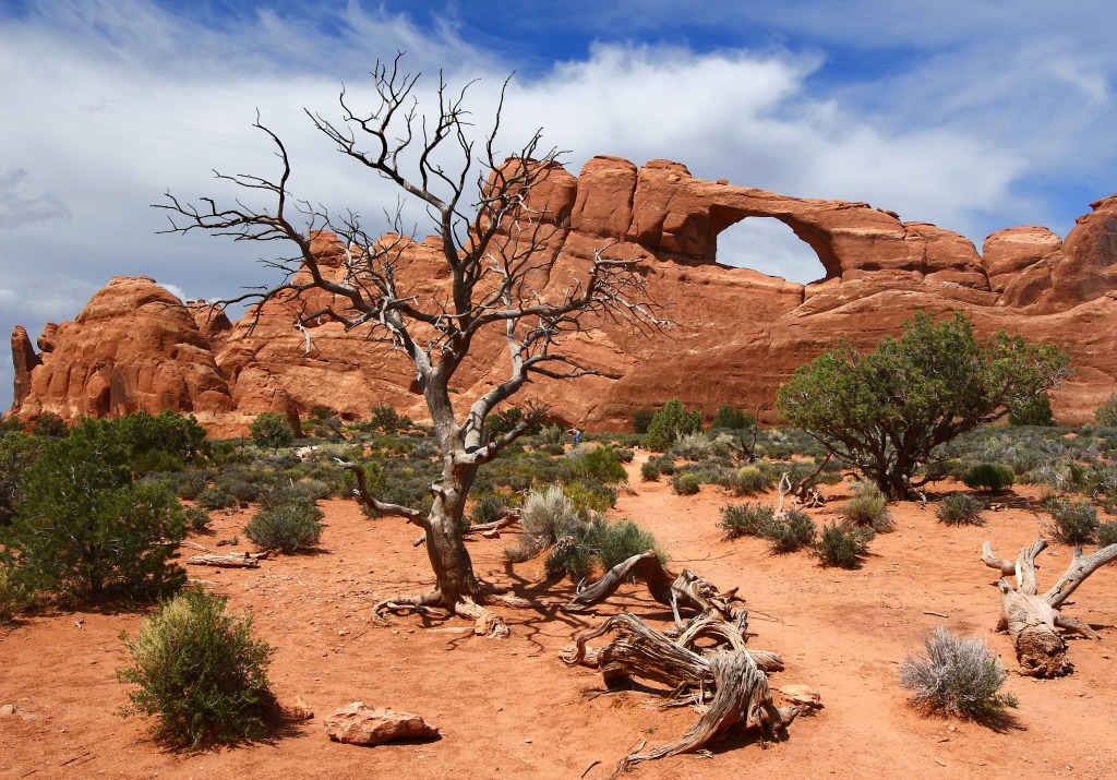 Skyline Arch, Arches National Park jigsaw puzzle in Puzzle of the Day puzzles on TheJigsawPuzzles.com