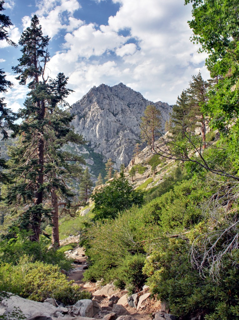 Maggies Peak, Sierra Nevada jigsaw puzzle in Great Sightings puzzles on TheJigsawPuzzles.com