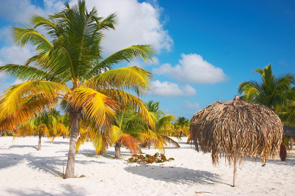 Sirena Beach at Cayo Largo, Cuba jigsaw puzzle in Great Sightings puzzles on TheJigsawPuzzles.com