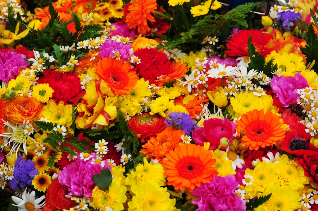 Flowers in Zürich, Switzerland jigsaw puzzle in Flowers puzzles on TheJigsawPuzzles.com