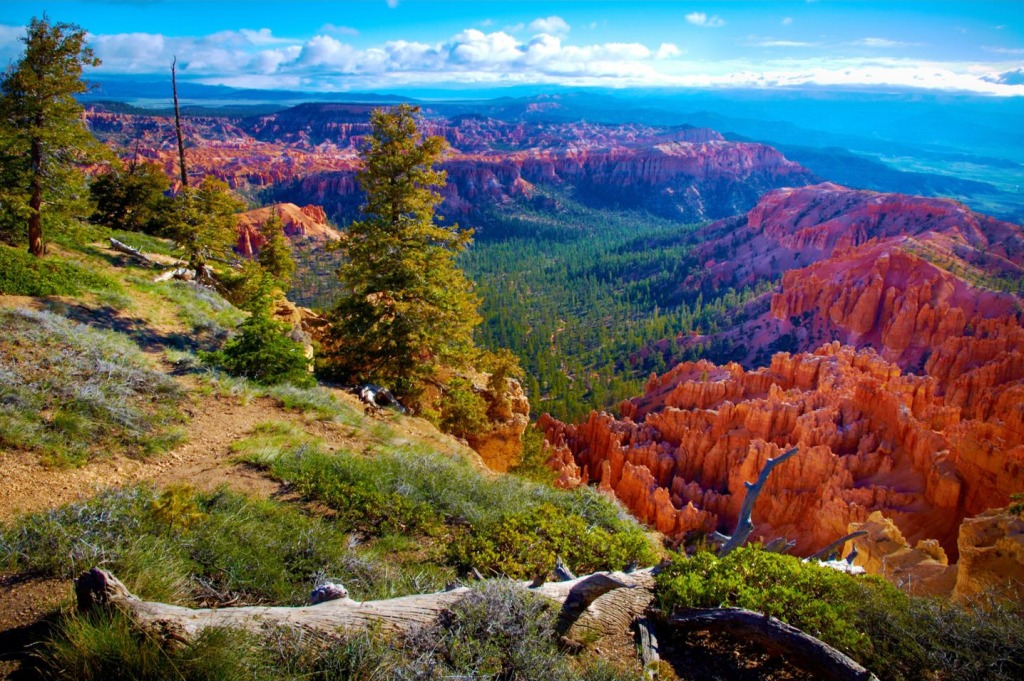 Bryce Canyon National Park, Utah jigsaw puzzle in Puzzle of the Day puzzles on TheJigsawPuzzles.com