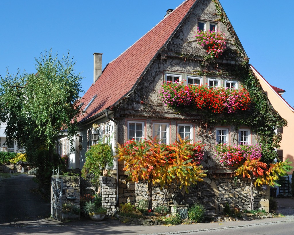 Zum Ochsen Guesthouse in Hemmingen, Germany jigsaw puzzle in Flowers puzzles on TheJigsawPuzzles.com