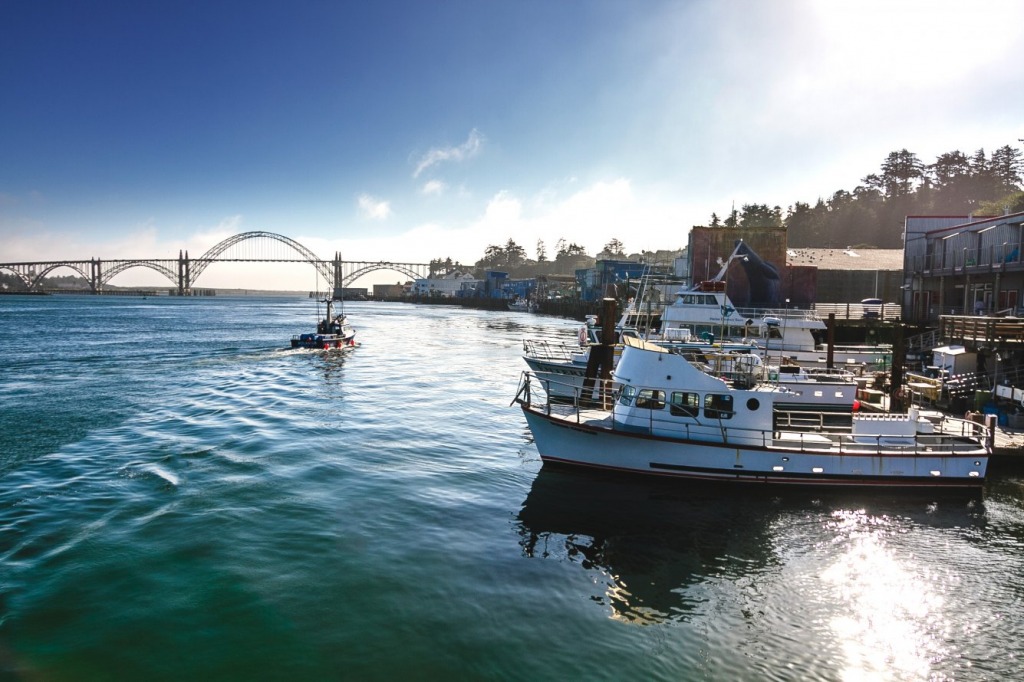 Newport, Oregon jigsaw puzzle in Bridges puzzles on TheJigsawPuzzles.com