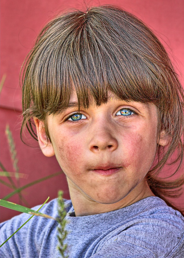 Boy in the Weeds jigsaw puzzle in People puzzles on TheJigsawPuzzles.com