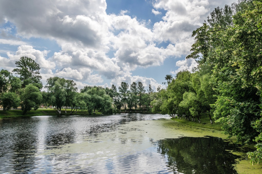 Pond in Saint Petersburg jigsaw puzzle in Great Sightings puzzles on TheJigsawPuzzles.com