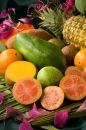 Tropical Fruits