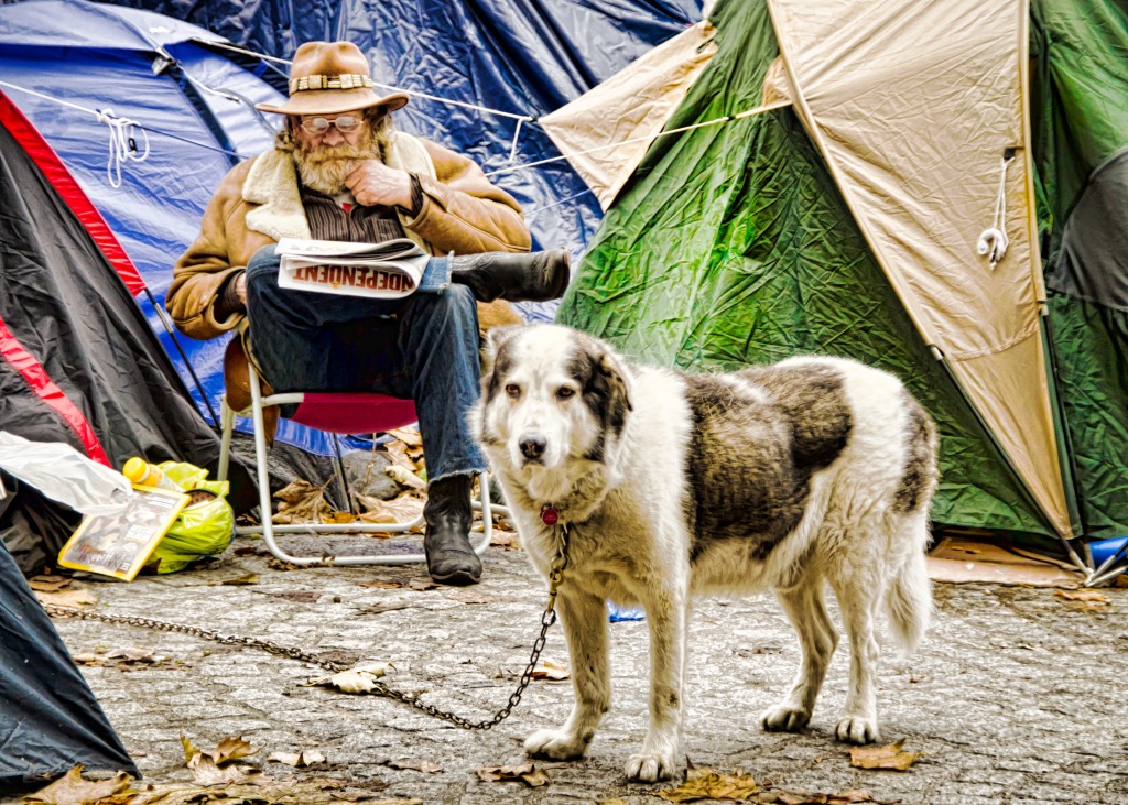 Protest Dog at the Occupy LSX jigsaw puzzle in People puzzles on TheJigsawPuzzles.com