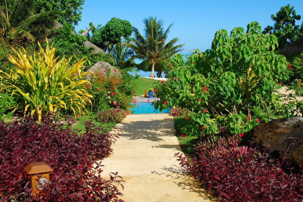 Etu Moana Gardens, Cook Islands jigsaw puzzle in Flowers puzzles on TheJigsawPuzzles.com