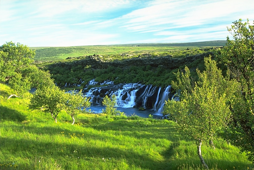 Hraunfossar Waterfalls, Iceland jigsaw puzzle in Waterfalls puzzles on TheJigsawPuzzles.com