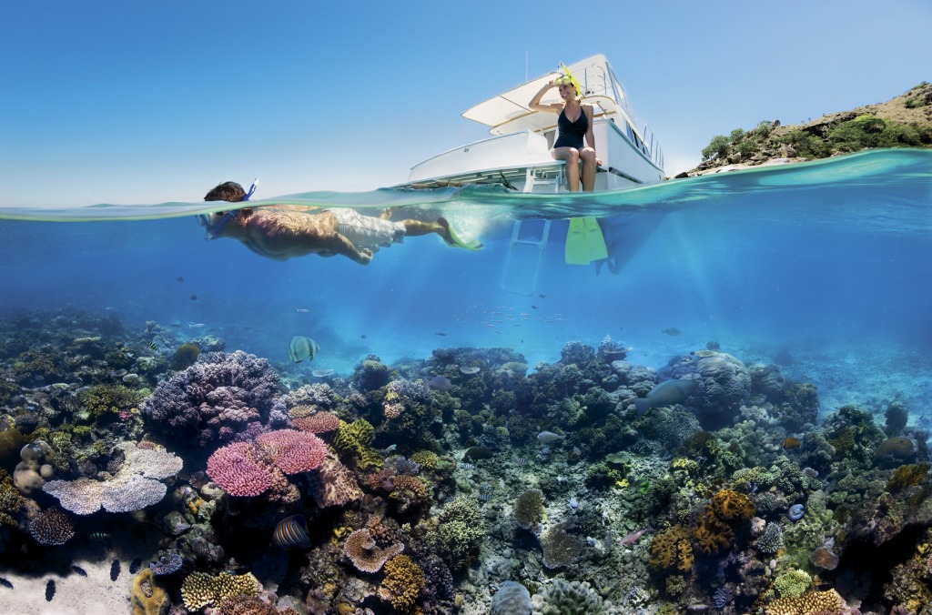 Reef Snorkelling on the Great Barrier Reef jigsaw puzzle in Under the Sea puzzles on TheJigsawPuzzles.com