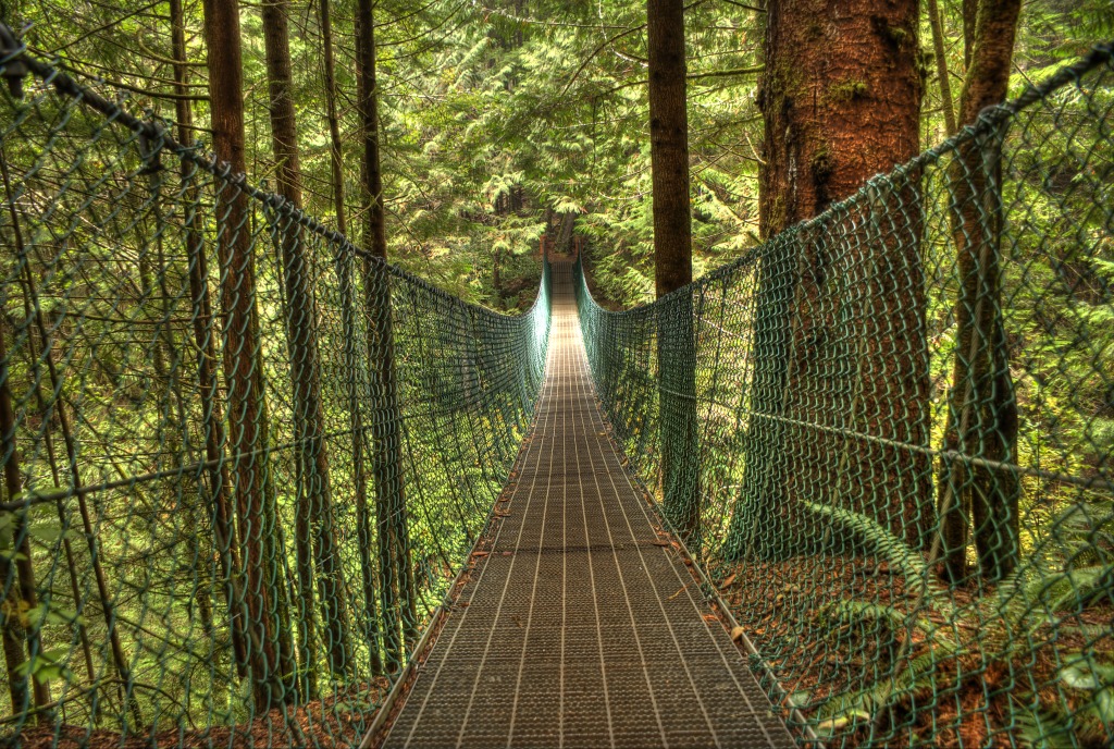 Juan de Fuca Trail: Suspension Bridge jigsaw puzzle in Bridges puzzles on TheJigsawPuzzles.com