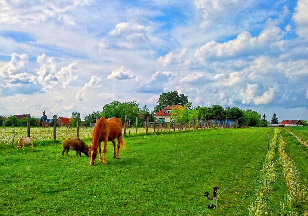 Horses in the Countryside jigsaw puzzle in Animals puzzles on TheJigsawPuzzles.com