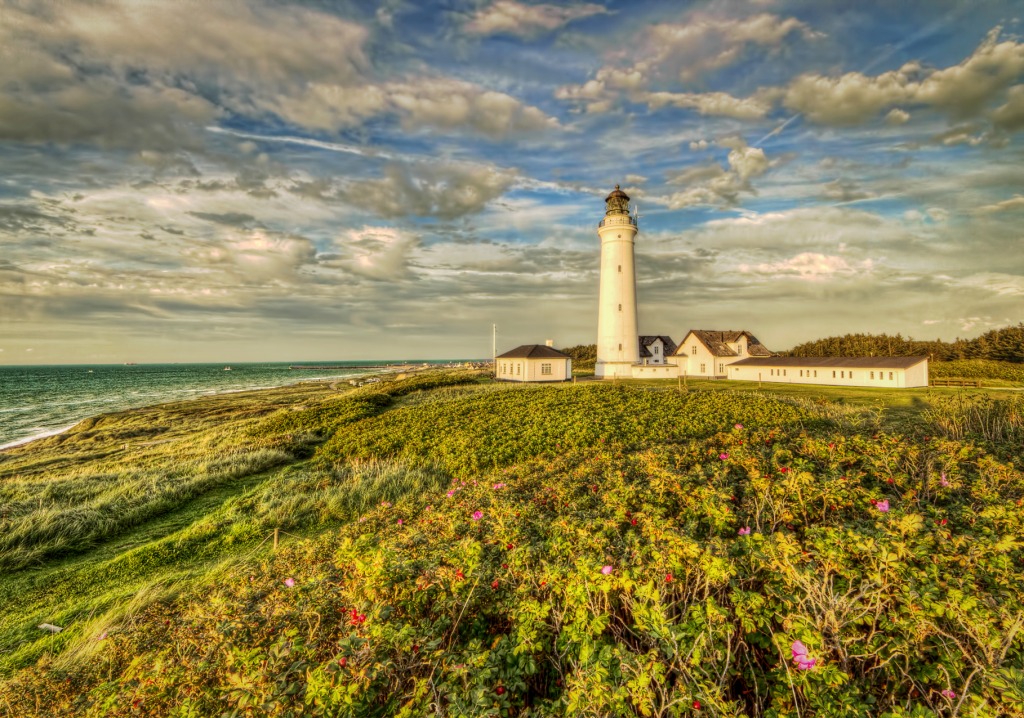 Hirtshals Lighthouse Coast, Denmark jigsaw puzzle in Puzzle of the Day puzzles on TheJigsawPuzzles.com