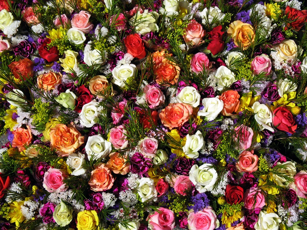 Roses jigsaw puzzle in Flowers puzzles on TheJigsawPuzzles.com