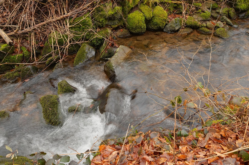 Some Water in Forest jigsaw puzzle in Waterfalls puzzles on TheJigsawPuzzles.com