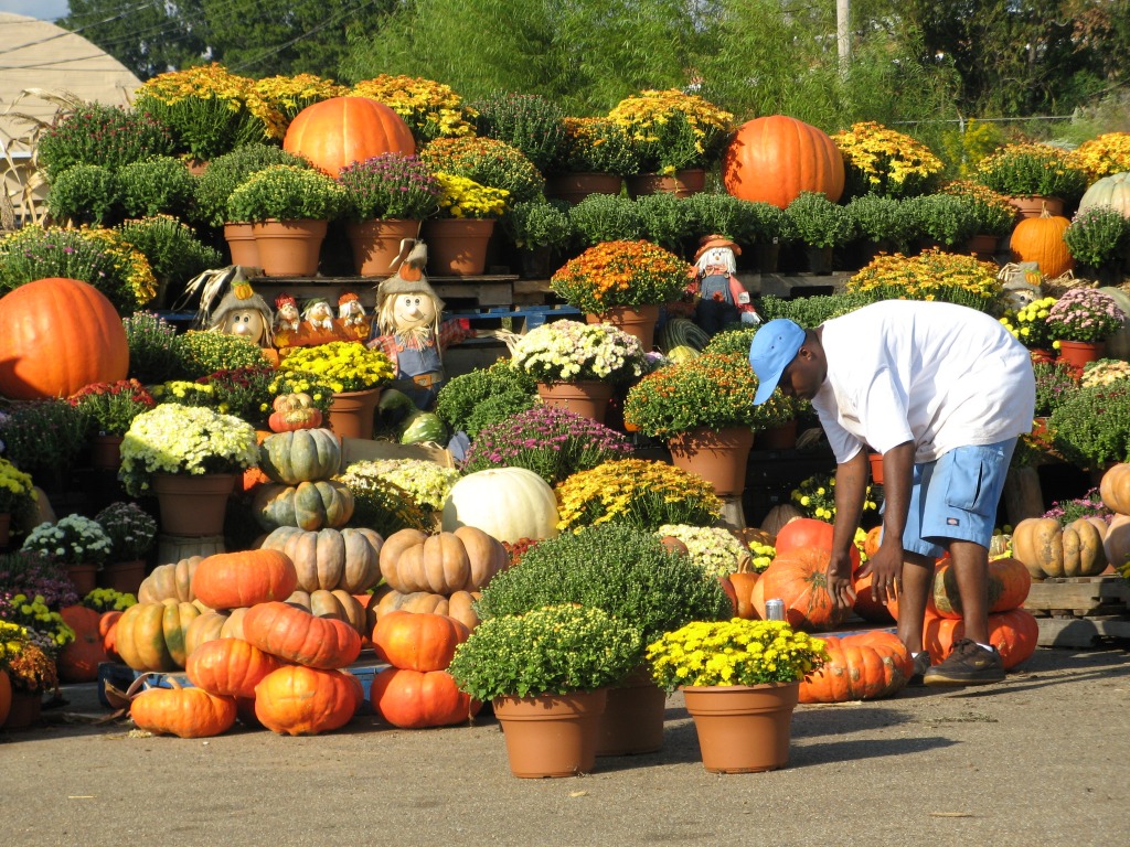 Is it Really Fall? jigsaw puzzle in Fruits & Veggies puzzles on TheJigsawPuzzles.com