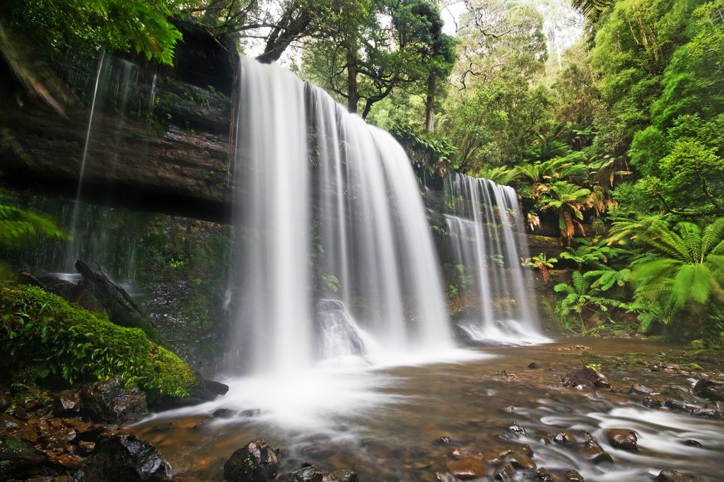 Russell Falls, Mt Field NP, Tasmania, Australia jigsaw puzzle in Waterfalls puzzles on TheJigsawPuzzles.com