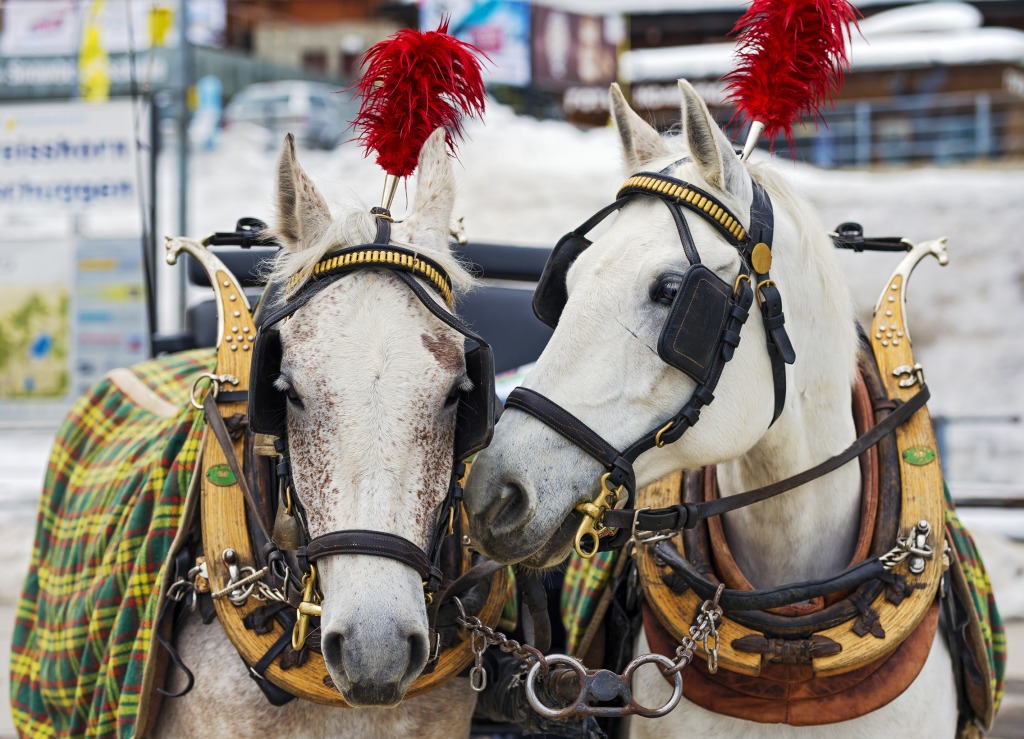 Two Carriage Horses jigsaw puzzle in Animals puzzles on TheJigsawPuzzles.com