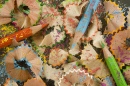 Colored Pencil Scrapings