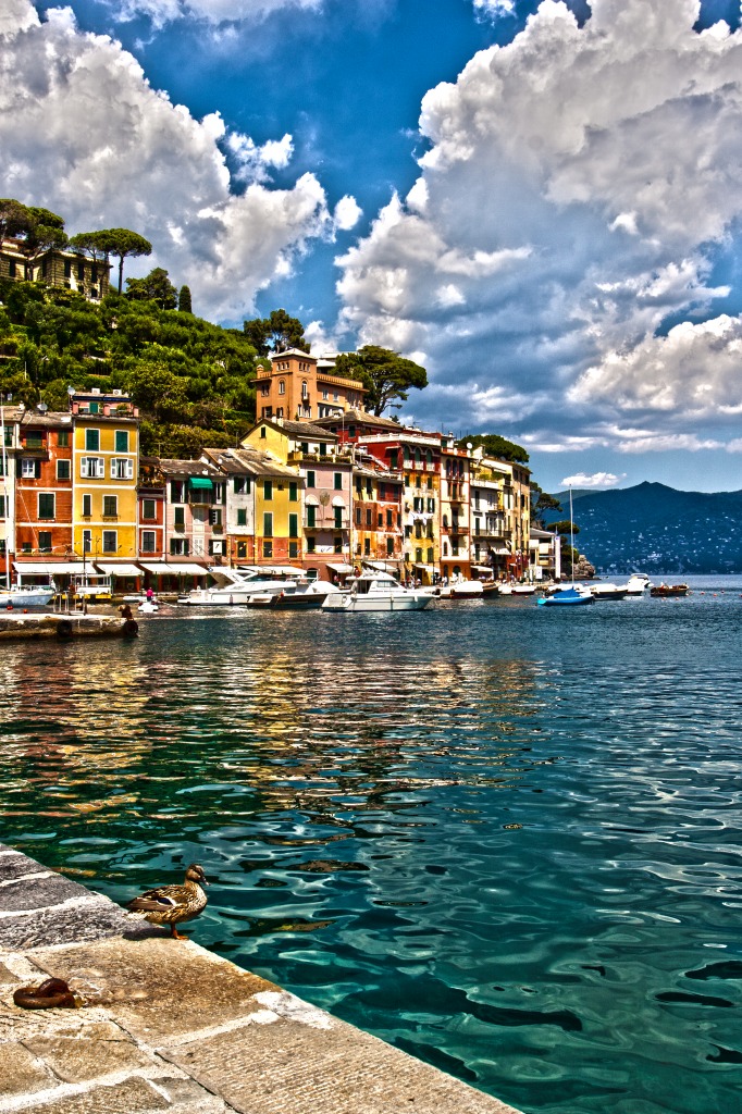 Portofino, Italian Riviera jigsaw puzzle in Great Sightings puzzles on TheJigsawPuzzles.com