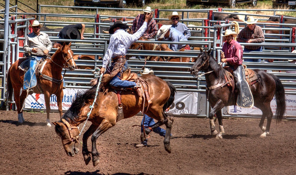 Bickleton's Pioneer Picnic And Rodeo jigsaw puzzle in People puzzles on TheJigsawPuzzles.com