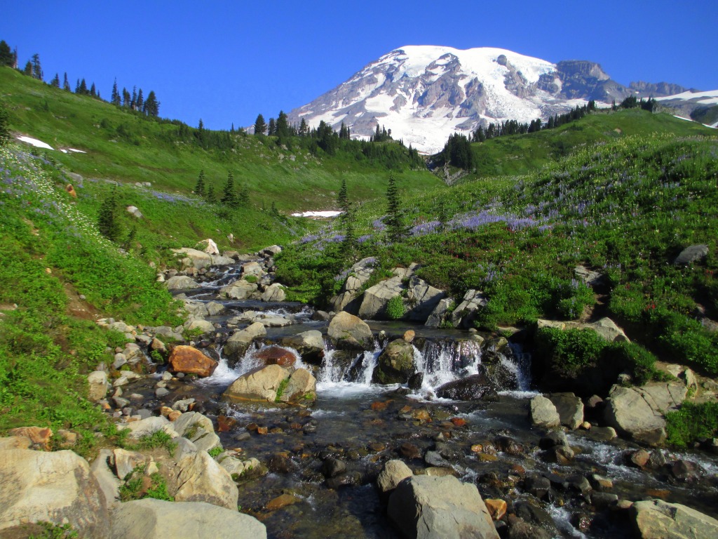 Mount Rainier National Park jigsaw puzzle in Waterfalls puzzles on TheJigsawPuzzles.com