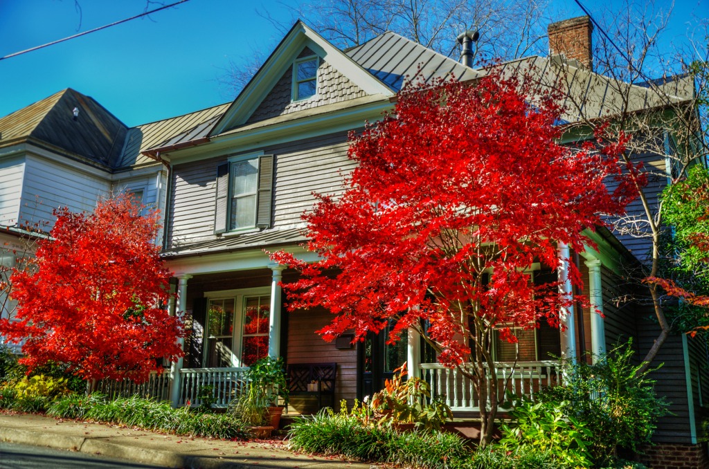 North Downtown, Charlottesville VA jigsaw puzzle in Street View puzzles on TheJigsawPuzzles.com