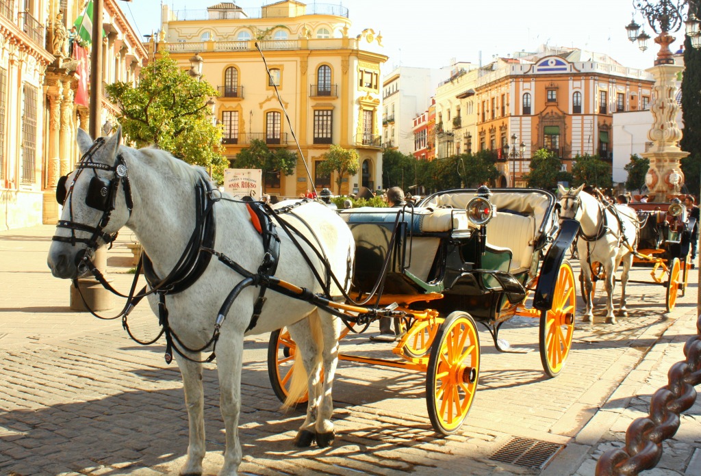 Plaza Virgen de los Reyes, Seville, Spain jigsaw puzzle in Animals puzzles on TheJigsawPuzzles.com